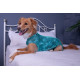 Îmbrăcăminte de Protecție „Dry Light Supreme Dog” Verde Mărimea 3 (3,5 – 4,5 kg) UV 50 plus, Antimicrobiană, Dry